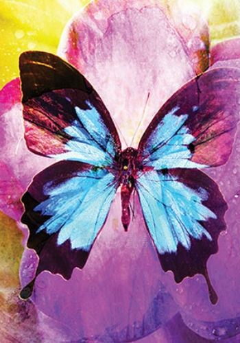 Kortos Butterfly Affirmations paveikslėlis 5 iš 10