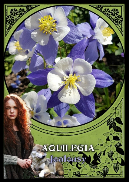 Kortos Flower Magic Oracle Kortos paveikslėlis 5 iš 6