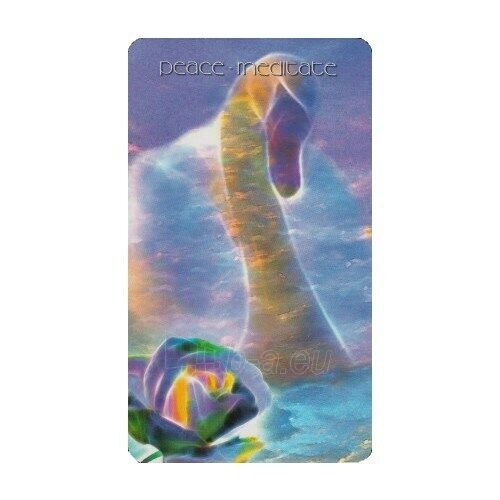 Kortos Taro Healing Light and Angel Cards paveikslėlis 3 iš 10