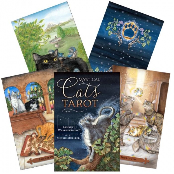 Kortos Taro Kortos Mystical Cats Tarot paveikslėlis 1 iš 7