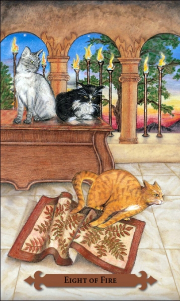 Kortos Taro Kortos Mystical Cats Tarot paveikslėlis 4 iš 7
