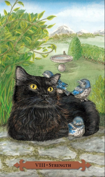 Kortos Taro Kortos Mystical Cats Tarot paveikslėlis 7 iš 7