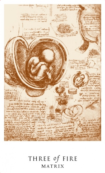 Kortos The Da Vinci Enigma Tarot ir knyga paveikslėlis 6 iš 11