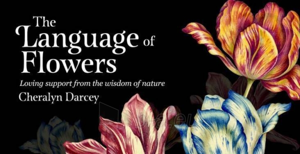Kortos The Language of Flowers Inspiration paveikslėlis 3 iš 6