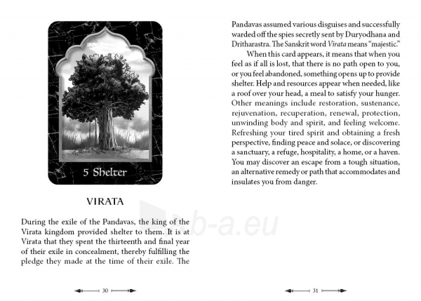 Kortos The Mahabharata Oracle paveikslėlis 6 iš 10