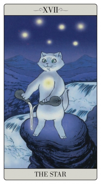 Kortos The Way Jodorowsky Explained Tarot To His Cat Kortos paveikslėlis 2 iš 8