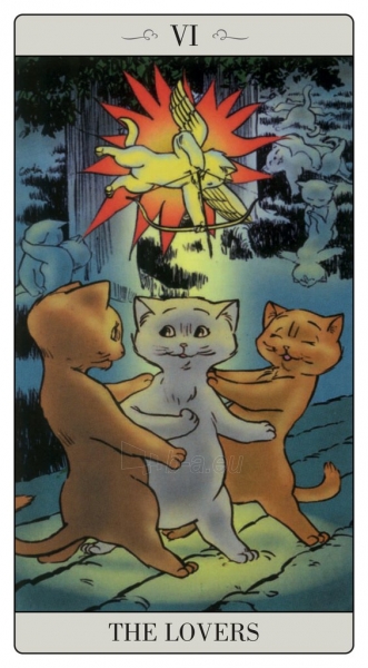 Kortos The Way Jodorowsky Explained Tarot To His Cat Kortos paveikslėlis 3 iš 8