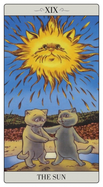 Kortos The Way Jodorowsky Explained Tarot To His Cat Kortos paveikslėlis 5 iš 8