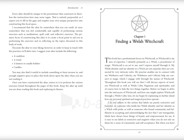 Kortos Welsh Witchcraft knyga Llewellyn paveikslėlis 4 iš 6