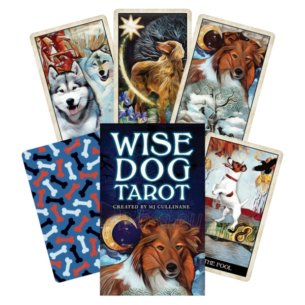Kortos Wise Dog Taro paveikslėlis 1 iš 13