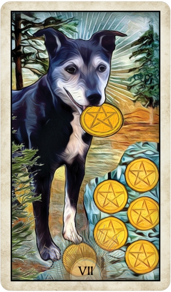 Kortos Wise Dog Taro paveikslėlis 9 iš 13