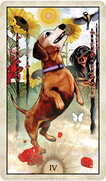 Kortos Wise Dog Taro paveikslėlis 7 iš 13