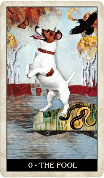 Kortos Wise Dog Taro paveikslėlis 5 iš 13