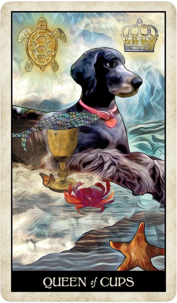 Kortos Wise Dog Taro paveikslėlis 4 iš 13
