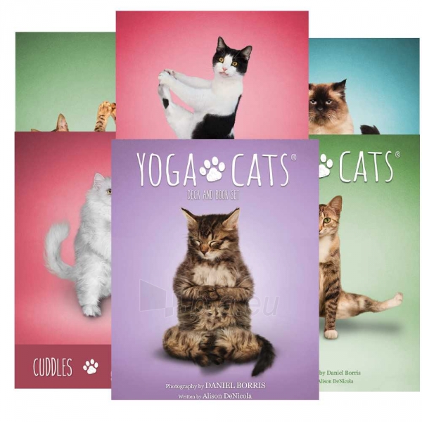 Kortos Yoga Cats Challenges paveikslėlis 1 iš 8