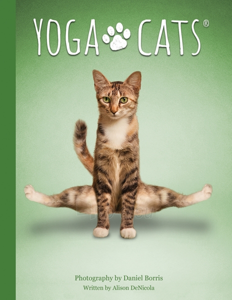 Kortos Yoga Cats Challenges paveikslėlis 2 iš 8