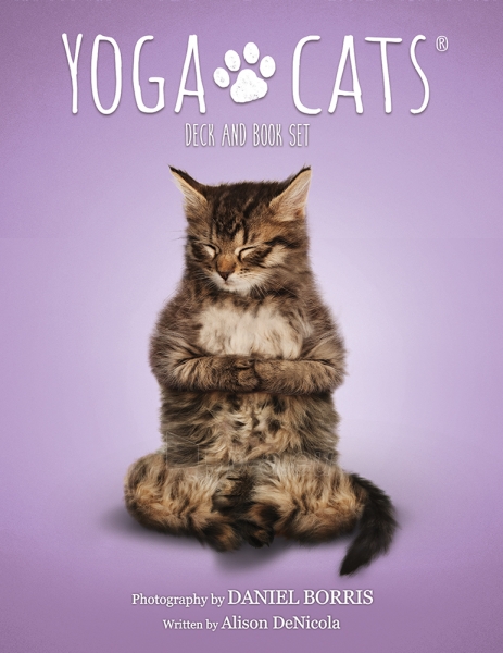 Kortos Yoga Cats Challenges paveikslėlis 8 iš 8