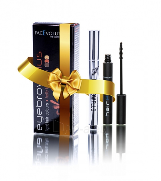 Kosmetikos rinkinys FacEvolution Gift set of decorative cosmetics for eyelashes and eyebrows 2 ml + 6 ml - light paveikslėlis 1 iš 1