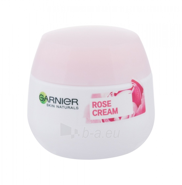 Kremas veidui Garnier Essentials 24H Hydrating Cream Dry Skin Cosmetic 50ml paveikslėlis 1 iš 1