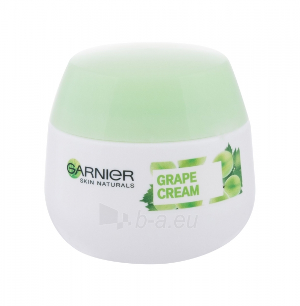 Kremas veidui Garnier Essentials 24H Hydrating Cream Normal Skin Cosmetic 50ml paveikslėlis 1 iš 1