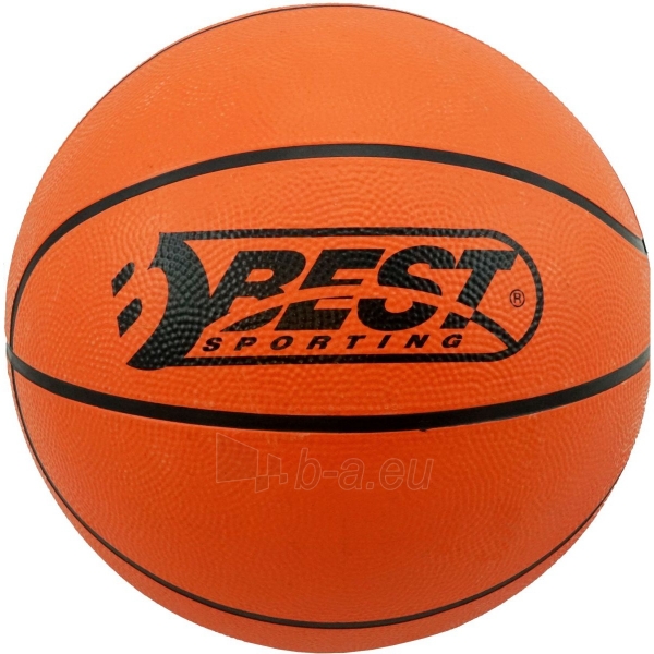 Krepšinio lankas su kamuoliu ir pompa, 45 cm paveikslėlis 6 iš 6