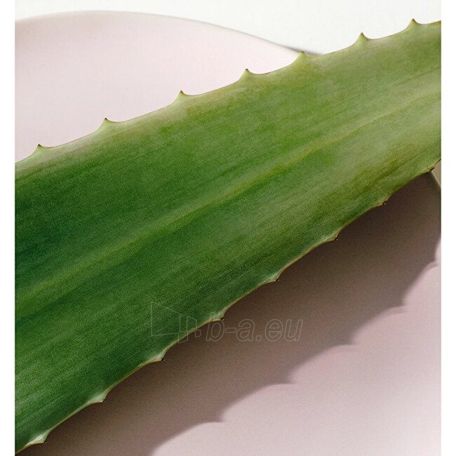 Body losionas Nivea Light Body Lotion Aloe Hydration ( Body Lotion) - 625 ml paveikslėlis 4 iš 5