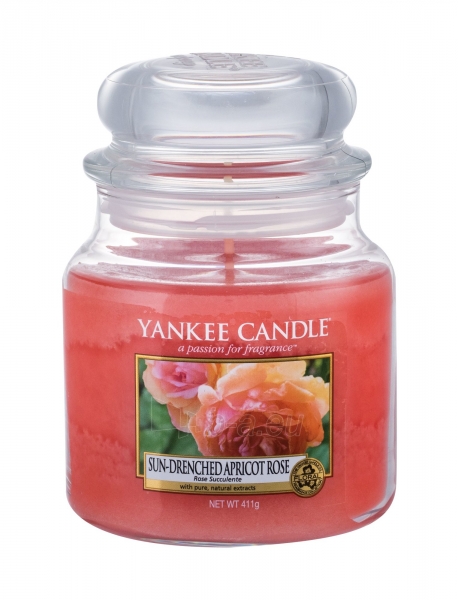 Kvapni žvakė Yankee Candle Sun-Drenched Apricot Rose 411g paveikslėlis 1 iš 1