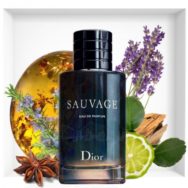 Kvepalai Dior Sauvage - EDP (užpildomas) - 100 ml paveikslėlis 3 iš 5