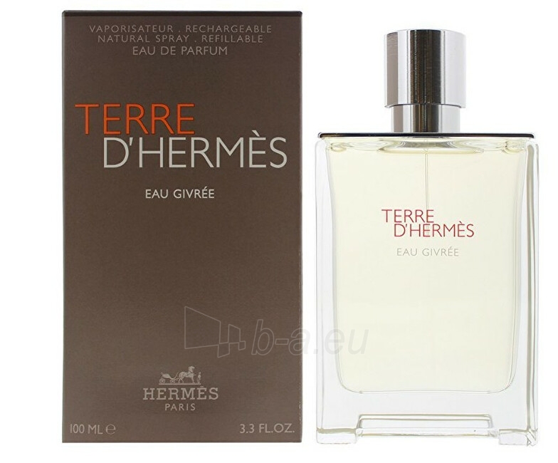 Kvepalai Hermes Terre d`Hermès Eau Givrée - EDP (plnitelná) - 50 ml paveikslėlis 1 iš 2