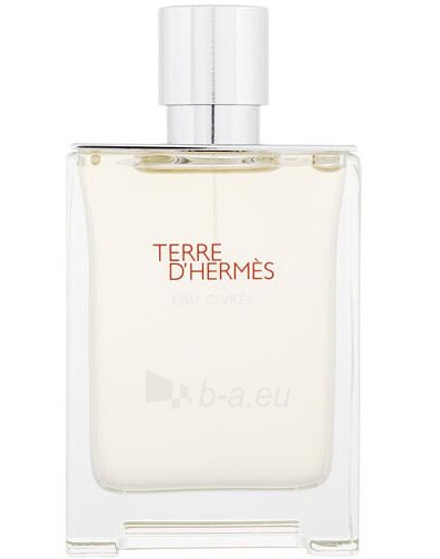 Kvepalai Hermes Terre d`Hermès Eau Givrée - EDP (plnitelná) - 50 ml paveikslėlis 2 iš 2