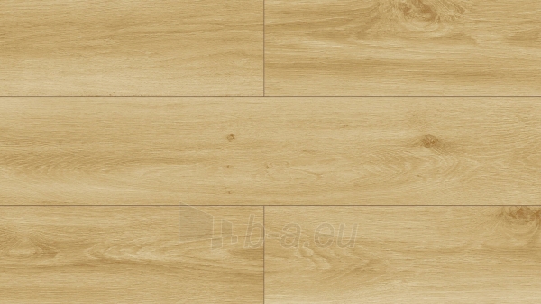 Laminate flooring HU/4901 1380*193*8 AC4 WA V4 EC Toledo ąžuolas paveikslėlis 1 iš 2