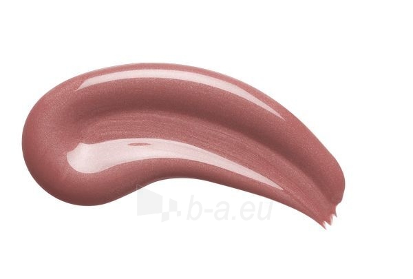 Lūpų dažai L´Oréal Paris Long-lasting lipstick and lip gloss 2in1 Infallible 24H Paris ian Nudes 6 ml paveikslėlis 6 iš 9