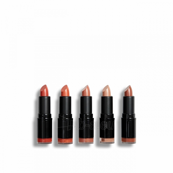 Lūpų dažai Revolution PRO Burnt Nudes lipstick set ( Lips tick Collection) 5 x 3.2 g paveikslėlis 1 iš 4