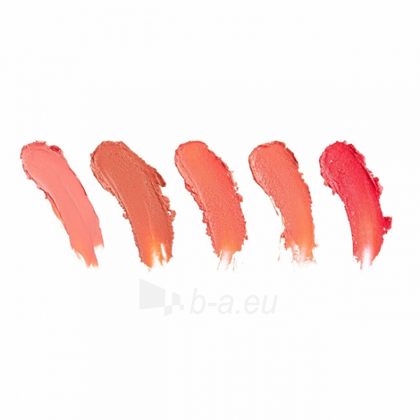 Lūpų dažai Revolution PRO Corals lipstick set ( Lips tick Collection) 5 x 3.2 g paveikslėlis 4 iš 5