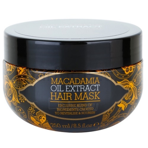 Macadamia Oil Extract Hair Mask Cosmetic 250ml paveikslėlis 1 iš 1