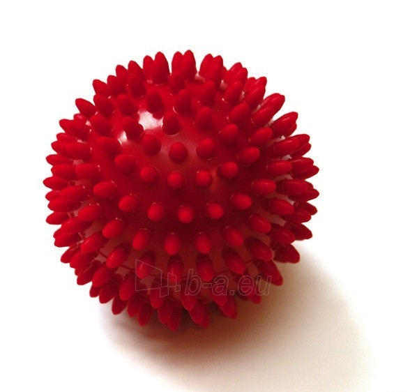 Masažo kamuoliukas Sissel Spiky Ball 9 Cm paveikslėlis 1 iš 1