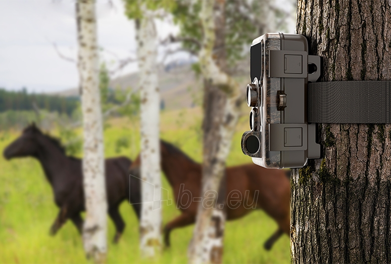 Medžioklės kamera SJCAM M50 brown leaf paveikslėlis 2 iš 10