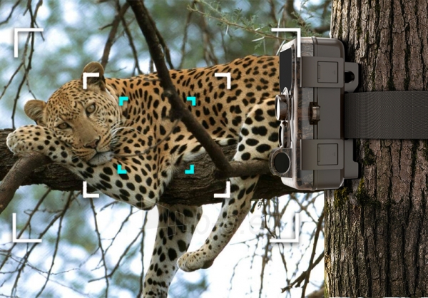 Medžioklės kamera SJCAM M50 taiga green paveikslėlis 9 iš 10
