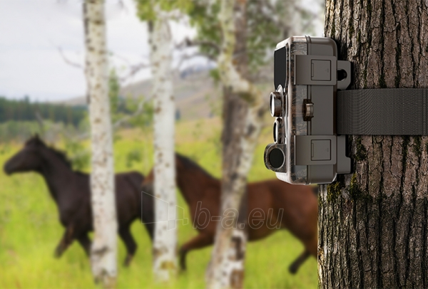 Medžioklės kamera SJCAM M50 taiga green paveikslėlis 7 iš 10