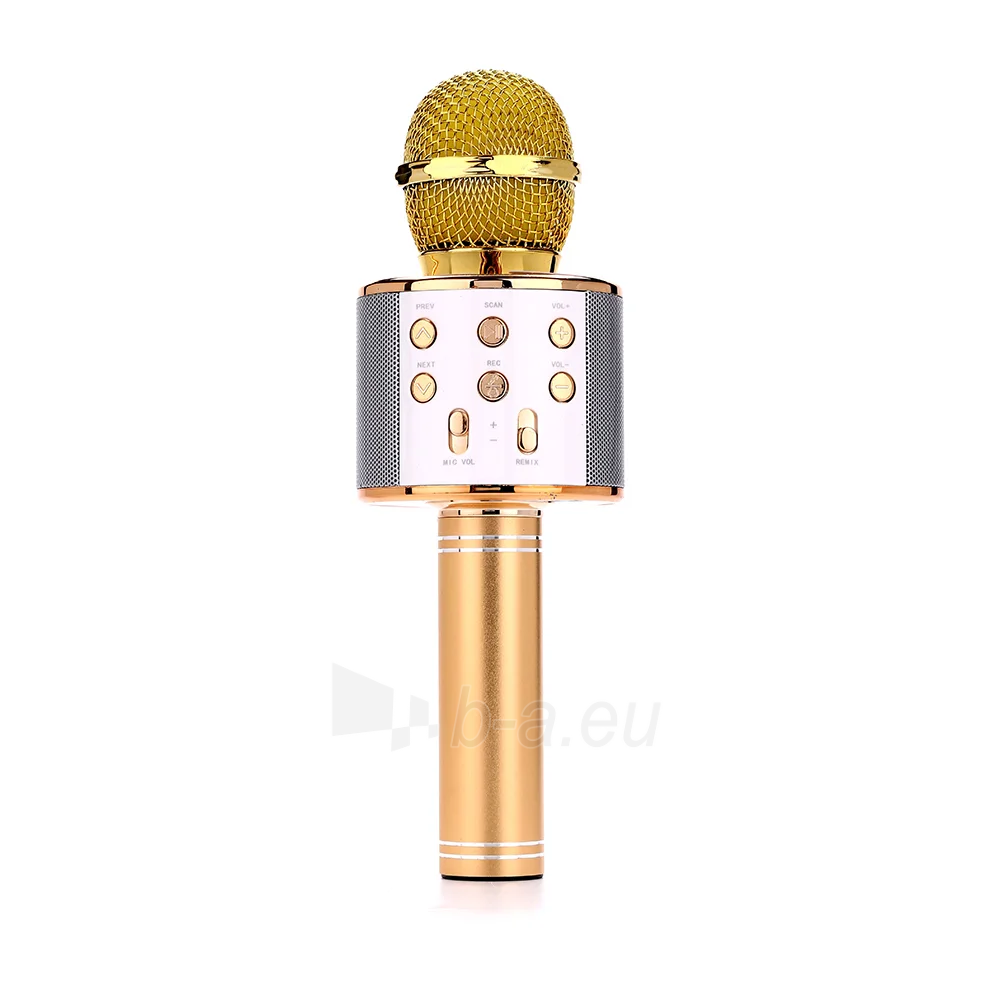 Mikrofonas Manta MIC10-G Gold paveikslėlis 9 iš 10