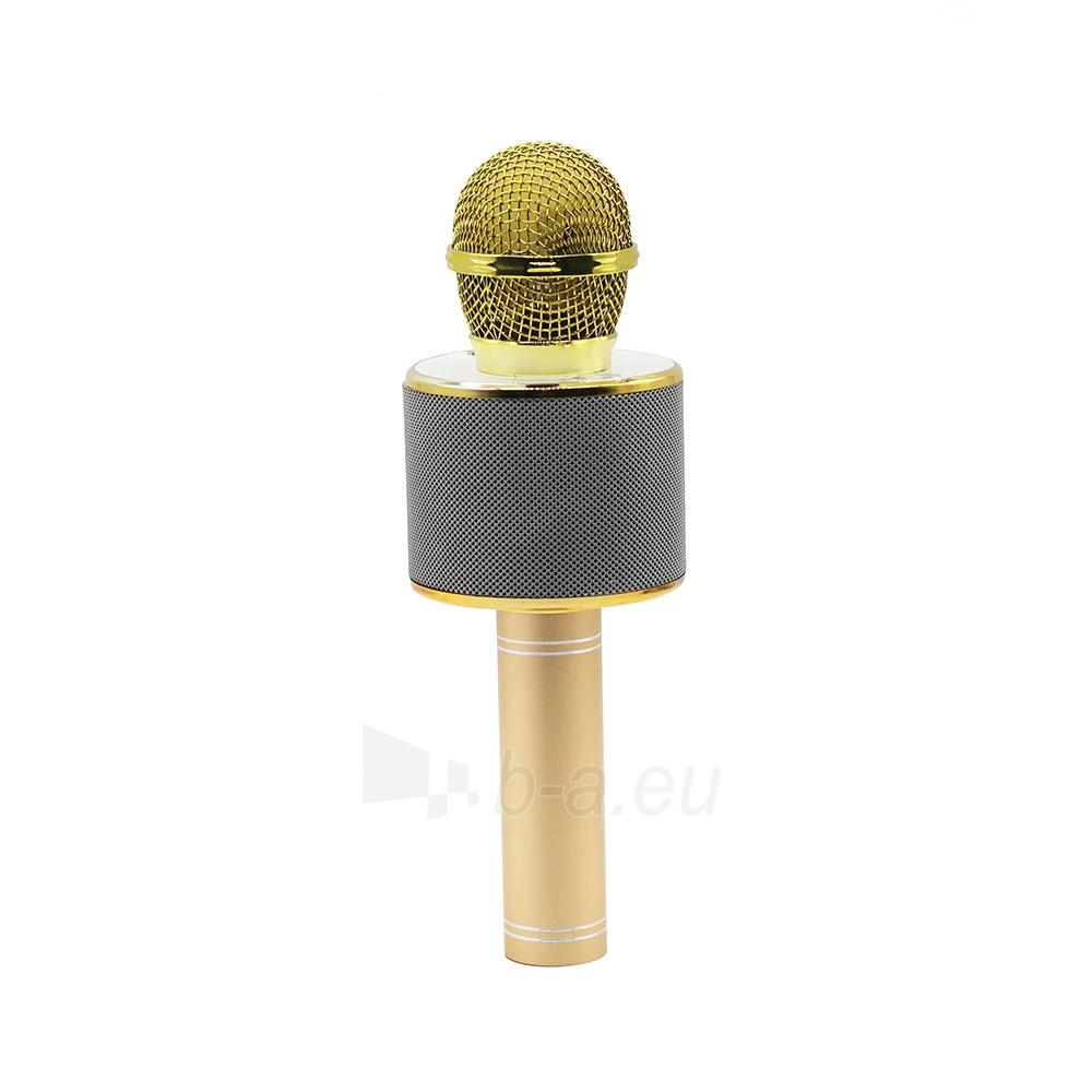 Mikrofonas Manta MIC10-G Gold paveikslėlis 8 iš 10