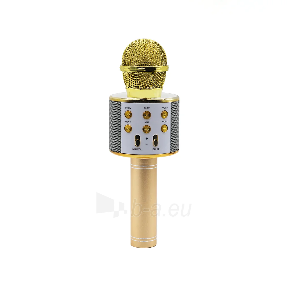 Mikrofonas Manta MIC10-G Gold paveikslėlis 7 iš 10