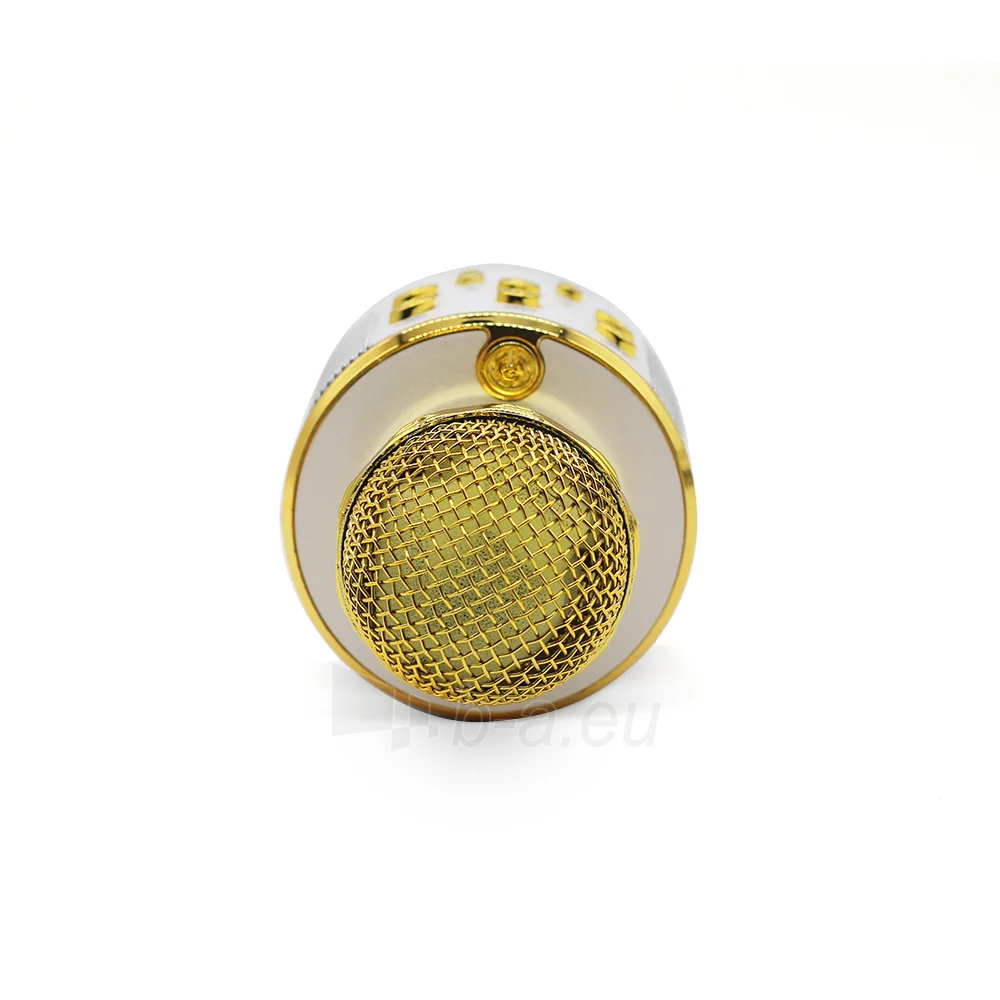 Mikrofonas Manta MIC10-G Gold paveikslėlis 4 iš 10