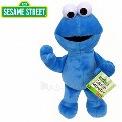 Minkštas žaisliukas Fisher-Price SESAME STREET B8510 Cookie Monster 30cm paveikslėlis 1 iš 1