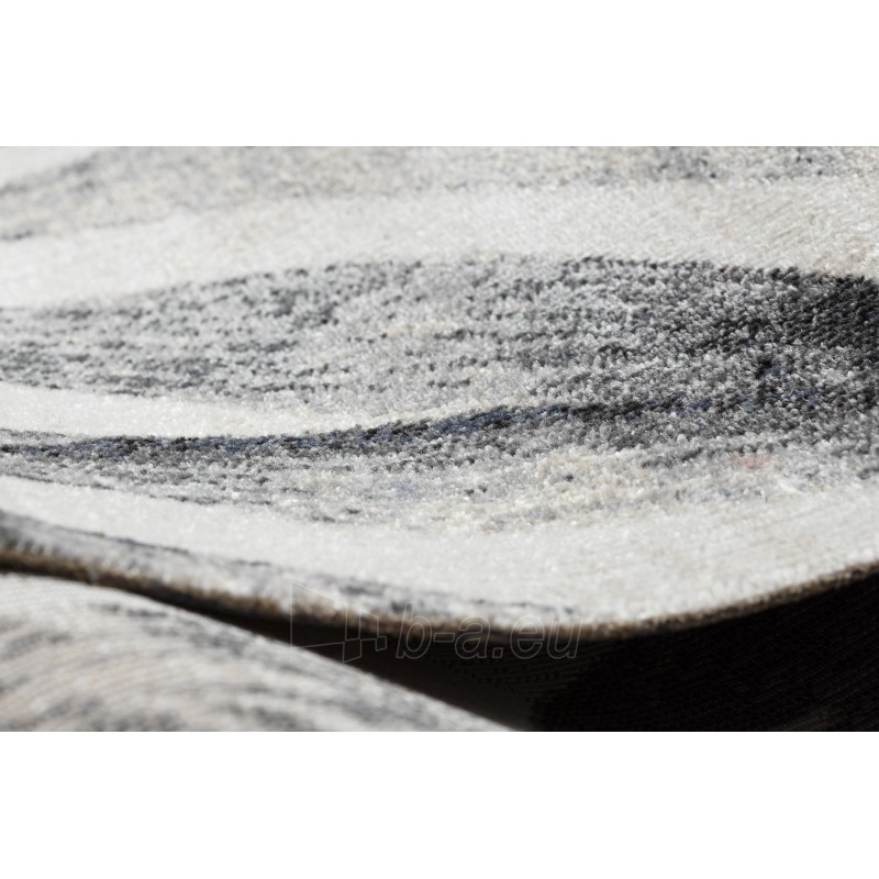Modernus lauko kilimas su botaniniais motyvais MUNDO | 160x220 cm paveikslėlis 11 iš 16