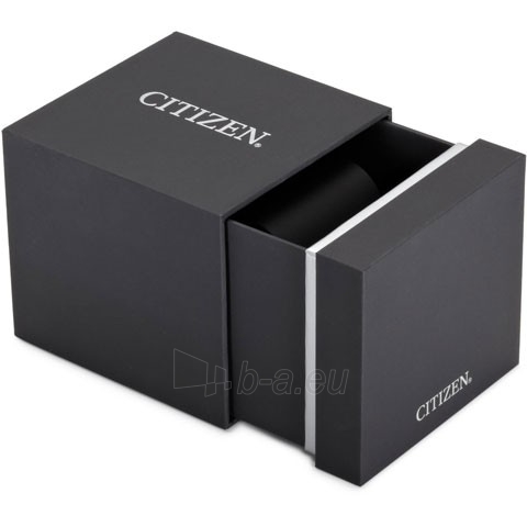 Citizen Eco Drive EZ6320-54A paveikslėlis 2 iš 6