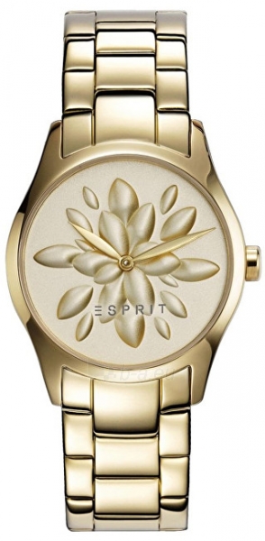 Moteriškas laikrodis Esprit Esprit TP10889 Gold ES108892003 paveikslėlis 1 iš 2