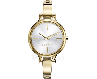 Women's watches Esprit Esprit TP10910 Gold ES109102003 paveikslėlis 1 iš 1