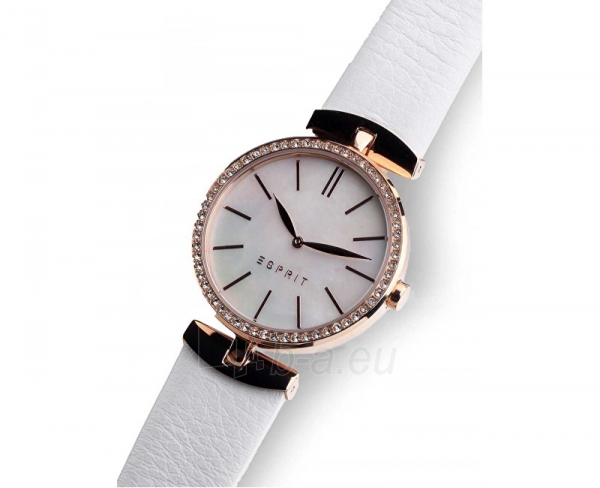Women's watches Esprit Esprit TP10911 White ES109112002 paveikslėlis 3 iš 6