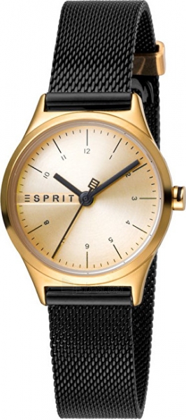 Women's watches Esprit Essential Mini Silver Rosegold Mesh ES1L052M0105 paveikslėlis 1 iš 3